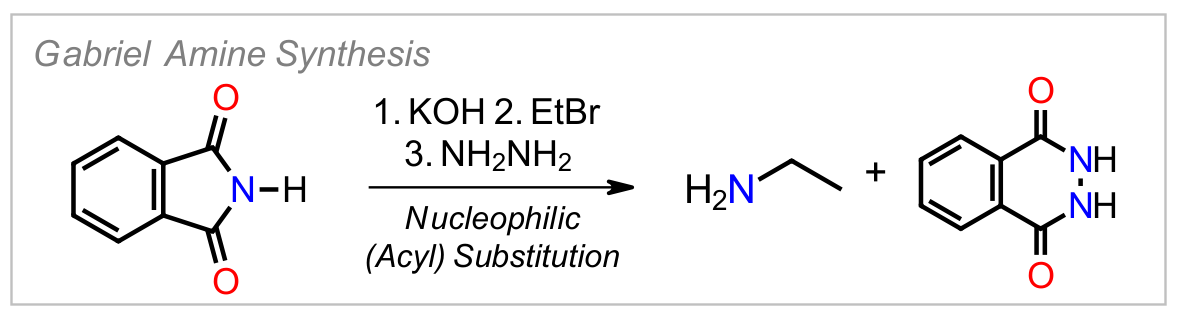 Gabriel Amine Synthesis