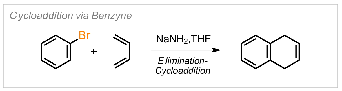 Benzyne Diels–Alder
