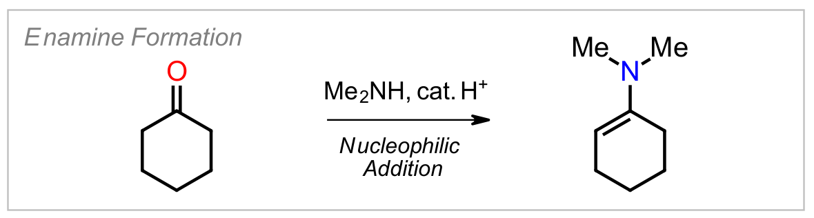 Enamine Formation
