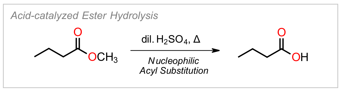 Ester Hydrolysis (Acid)