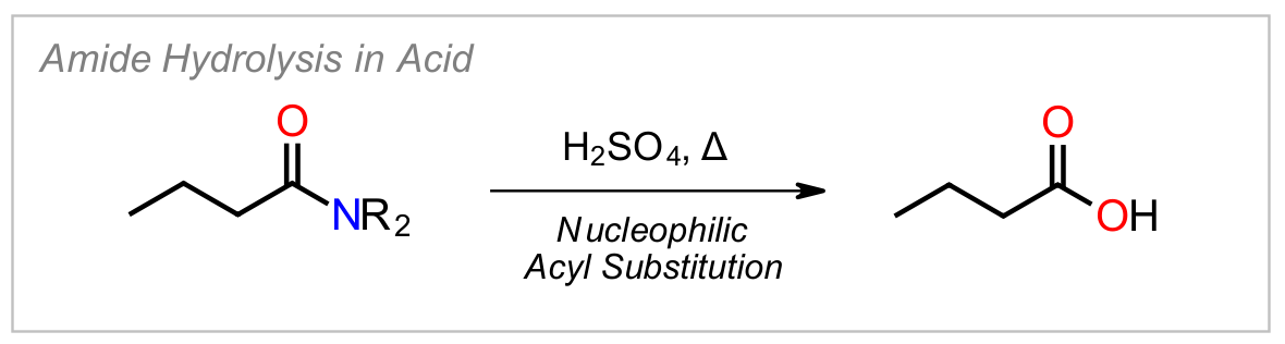 Amide Hydrolysis (Acid)