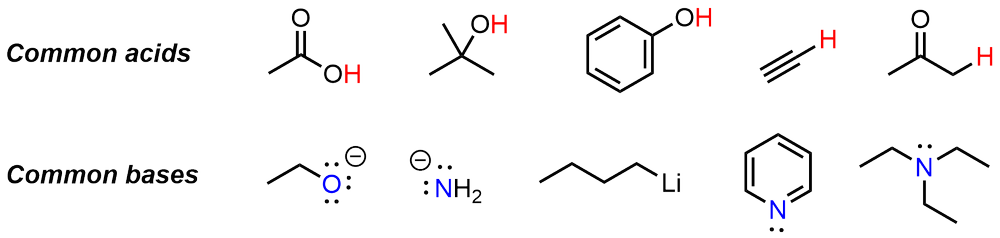 Common organic acids and bases