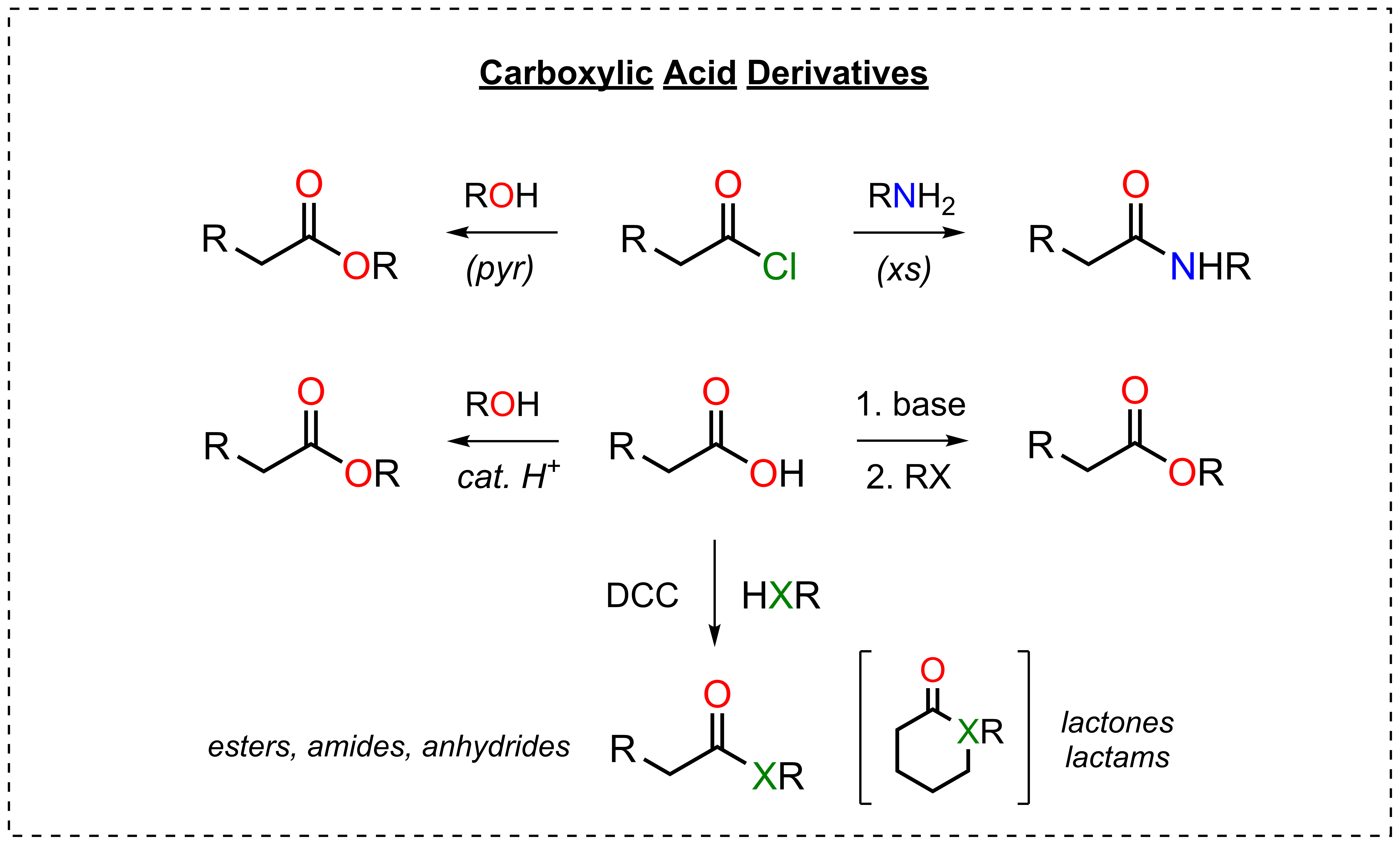 Carboxylic acid derivatives: an acid chloride with an alcohol or amine giving an ester or amide, Fischer esterification and carboxylate alkylation, and DCC coupling to esters, amides, anhydrides, lactones and lactams
