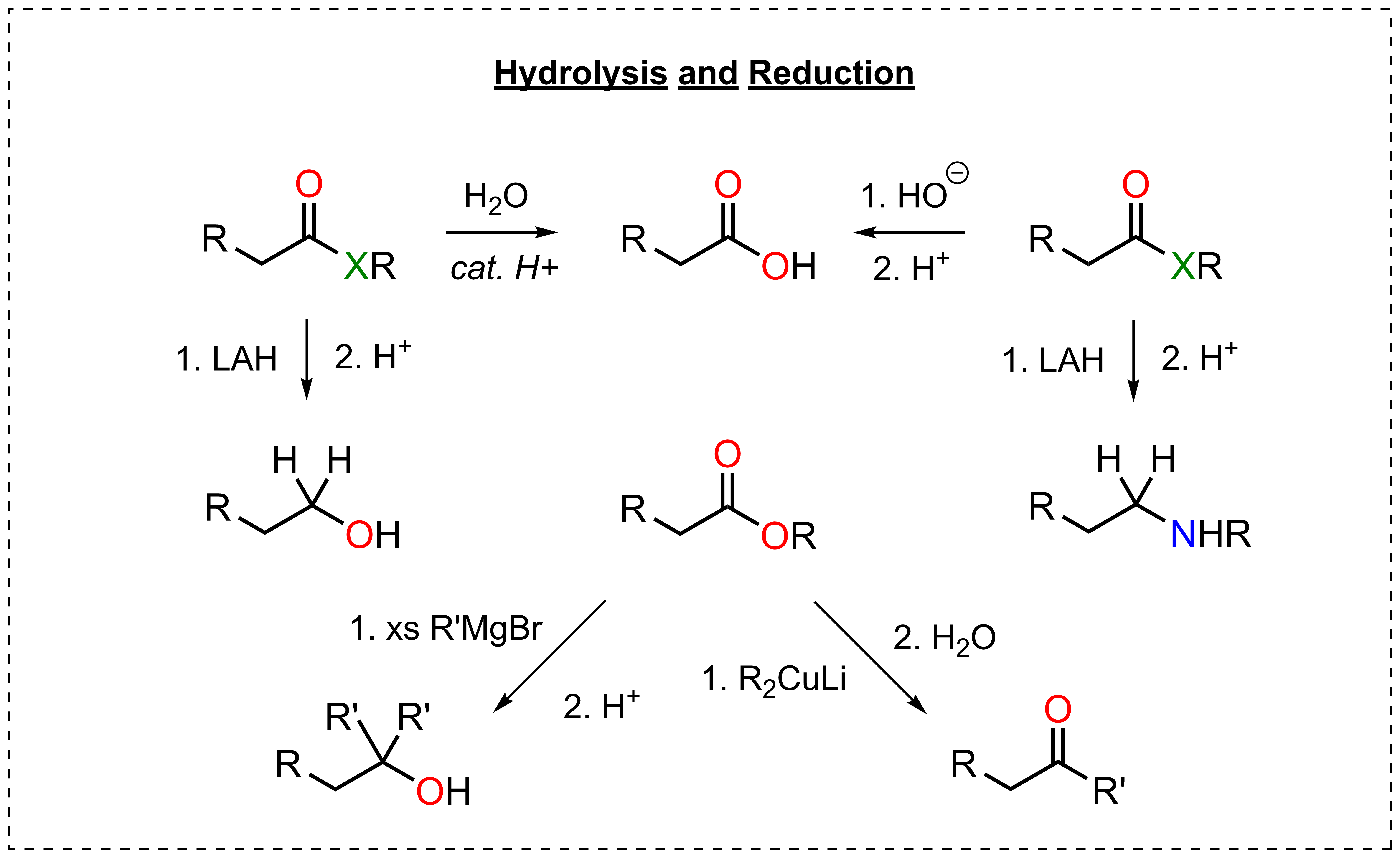 Hydrolysis and reduction: acid-catalyzed and base-promoted hydrolysis of a derivative to the acid, LAH reduction of an ester to an alcohol and an amide to an amine, and Grignard or cuprate addition to an ester giving a tertiary alcohol or a ketone