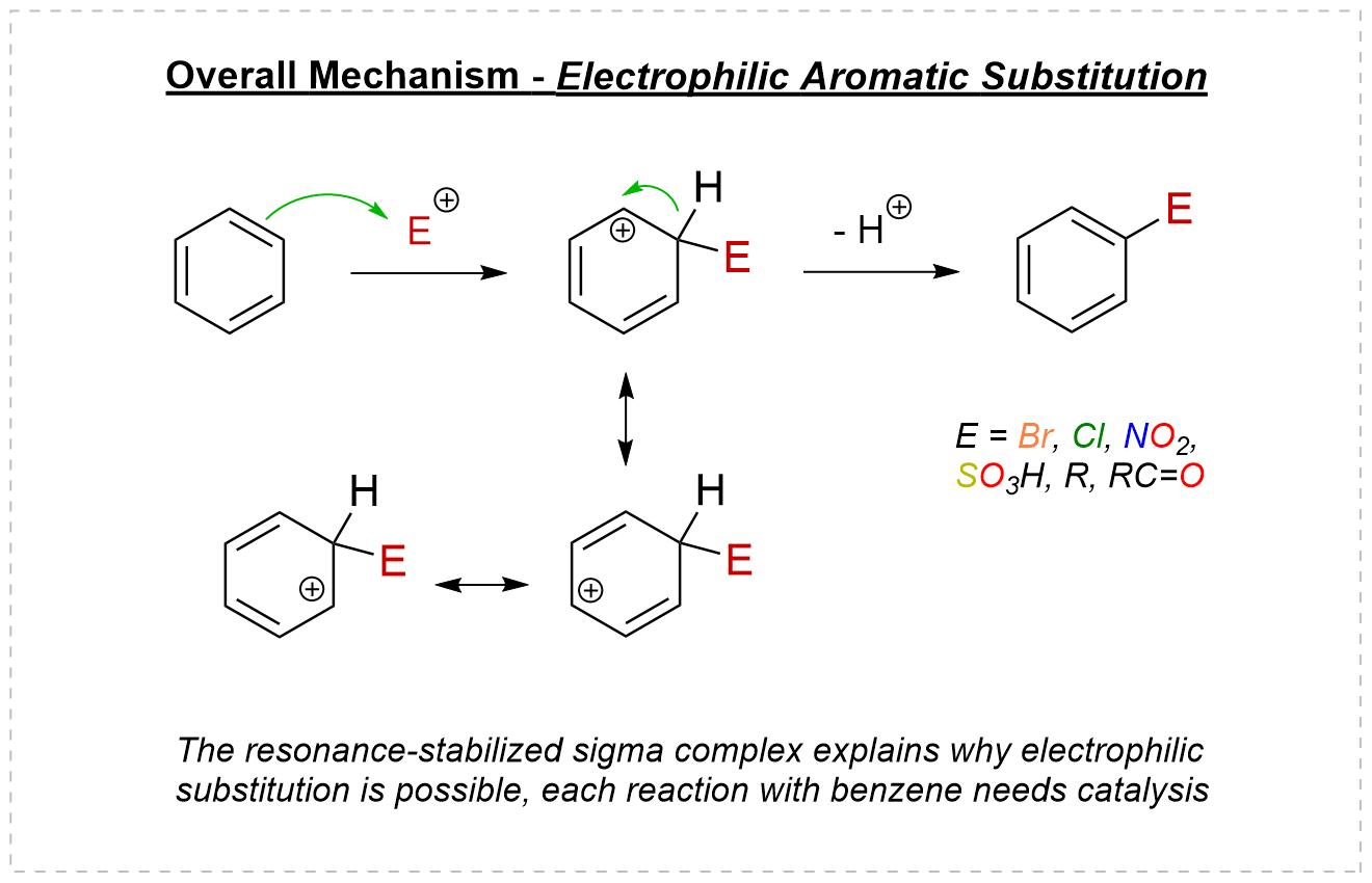 Electrophilic aromatic substitution mechanism via the arenium ion