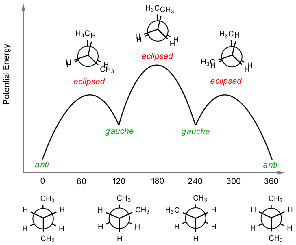 Potential energy plotted against dihedral angle for butane, marking anti, gauche, eclipsed and syn conformers across 0–360°