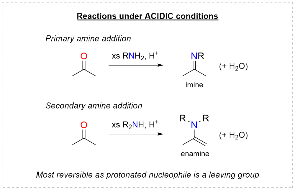 Additions under acidic conditions: primary amine to an imine, secondary amine to an enamine