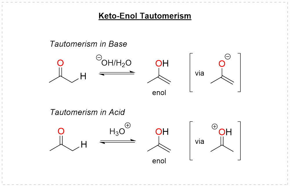 Keto-enol tautomerism under base, through the enolate, and under acid, through the protonated carbonyl