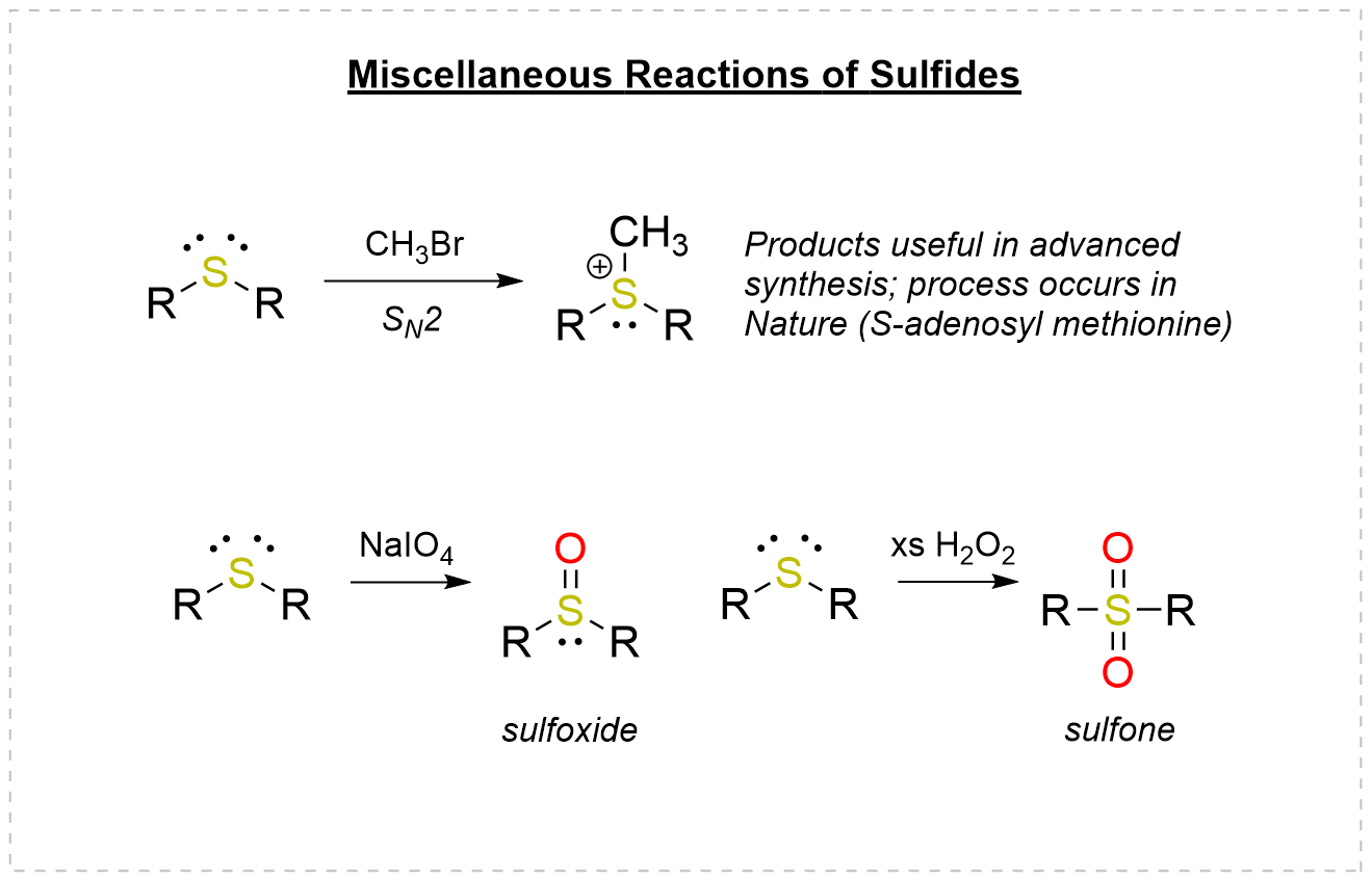 Reactions of sulfides: SN2 methylation by CH3Br to a sulfonium salt (as in S-adenosyl methionine); oxidation with NaIO4 to the sulfoxide; and oxidation with excess H2O2 to the sulfone
