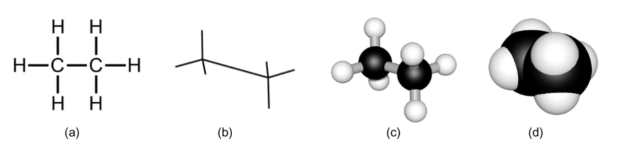 The same molecule as a bond-line structure, sawhorse, molecular model, and space-filling model
